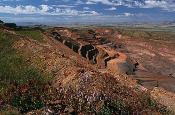 La mine Argyle Diamond